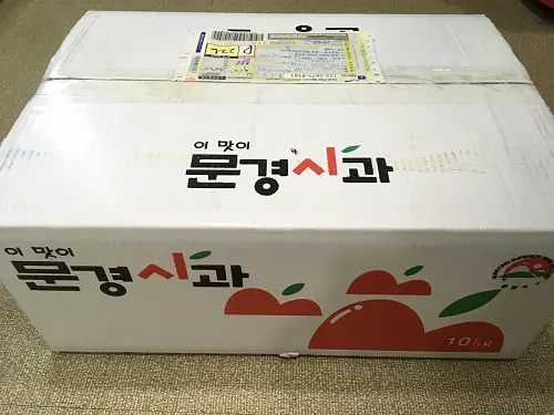 킹콩치과 선물 — 공지 이미지