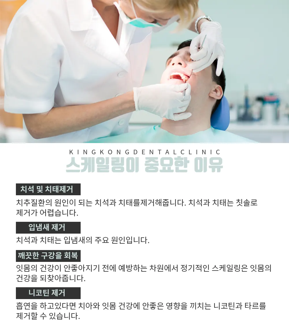 스케일링이 중요한 이유 — 공지 이미지