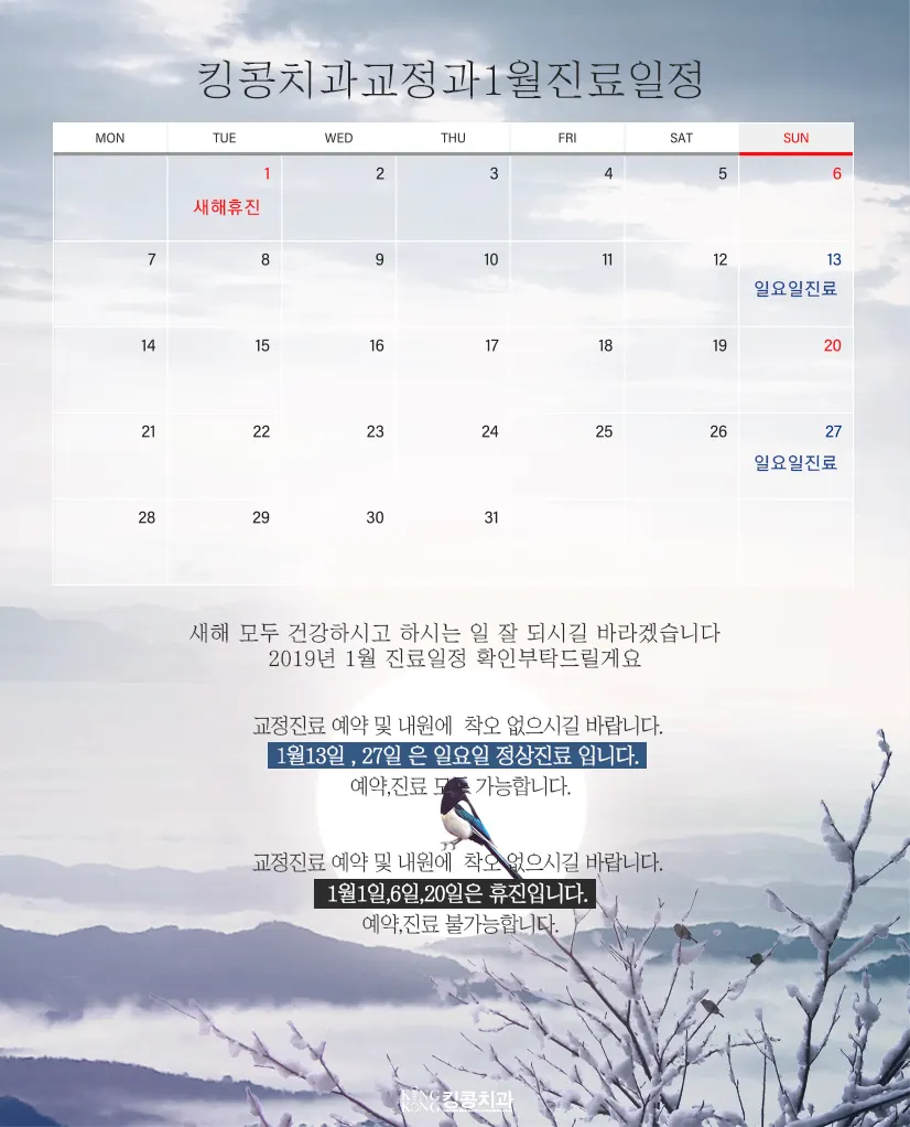 킹콩치과 1월 진료일정입니다. — 공지 이미지